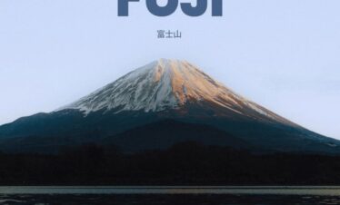 From Tokyo Fully Customised MOUNT FUJI Private Day Tour with English Speaking Driver Hotel Pickup