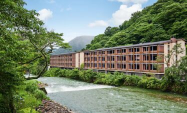 From Tokyo Fully Customised HAKONE Private Day Tour with English Speaking Driver Hotel Pickup